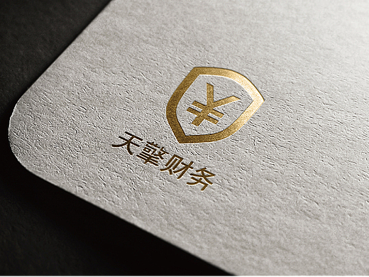 20160630 VI财务公司设计