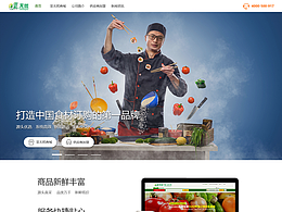 菜无忧企业站设计