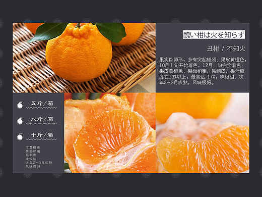 生态农产品 柑橘水果类 果园网站