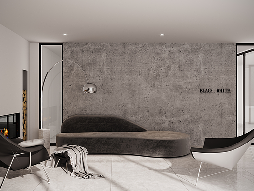 畢設(shè)—黑白記憶（個人主頁-ZMjI2MzYyMDg=） - 家裝設(shè)計 - 站酷設(shè)計師潮狗先生原創(chuàng)素材 - 站酷ZCOOL