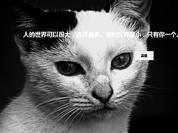 s毕设