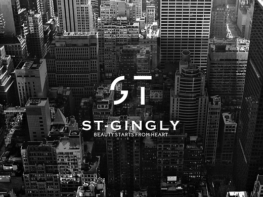 ST logo  化妆品牌LOGO设计定版第一款