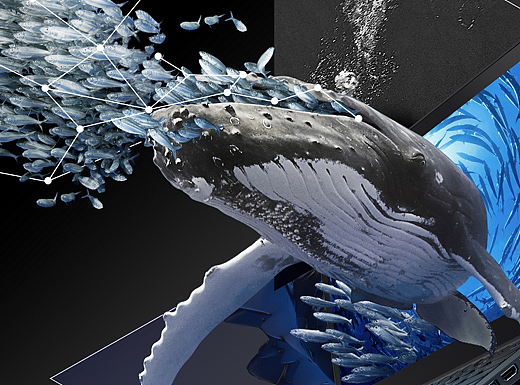 ThinkPad T470产品海报