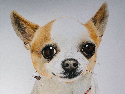 彩铅画
