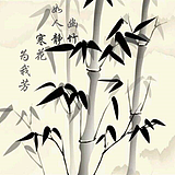 竹静寒的头像