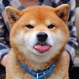 静默低语的头像
