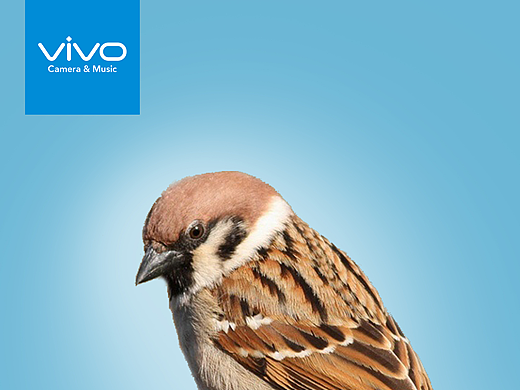 vivo照亮你的美（個(gè)人主頁(yè)-ZMjIzNzc1Njg=） - 海報(bào) - 站酷設(shè)計(jì)師Zhang0607原創(chuàng)素材 - 站酷ZCOOL