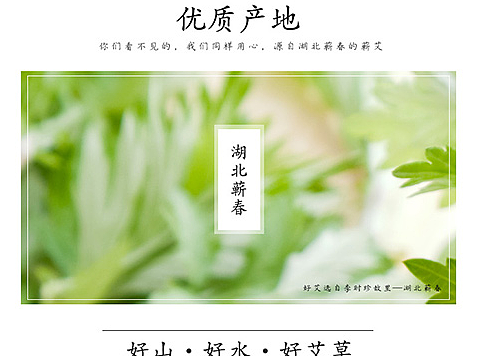 艾草详情系列