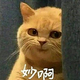 苏打水milky的头像