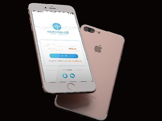 NORTHBLUE VI（个人主页-ZMjM4ODc4MjA=） - Logo - 站酷设计师沉默中诞生原创素材 - 站酷ZCOOL