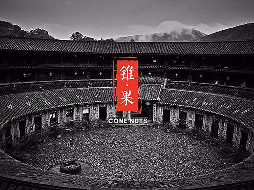 毕业设计《锥 · 果》＃青春答卷2017＃