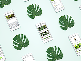 Plant ID App