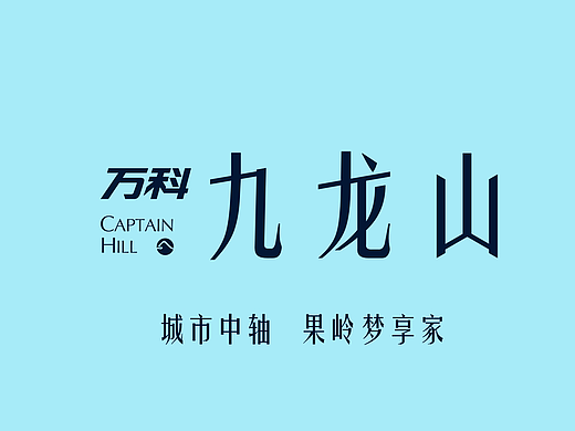 万科九龙山-房地产广告/房地产全套提案创作/VI