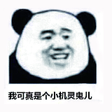 爱吃萝卜大白菜的头像
