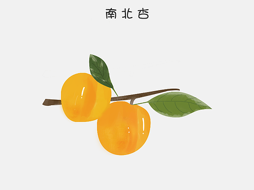 插画练习——蔬菜