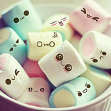 江爱笛生的头像