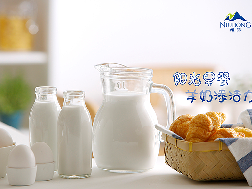 纽鸿羊奶（个人主页-ZMjI2MjY1NzI=） - 宣传物料 - 站酷设计师小天使1号原创素材 - 站酷ZCOOL