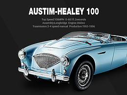 AUSTIM-HEALEY 100