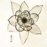 中华绘图工笔的头像