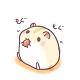 Animator_ZLJ的头像