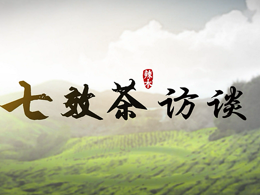七效茶访谈