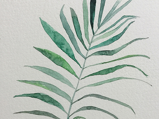 水彩画打卡（个人主页-ZMjM3MTkzNzI=） - 创作习作 - 站酷设计师vickey904原创素材 - 站酷ZCOOL