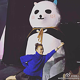 青山黛玛的头像