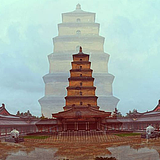 大智那个若愚的头像