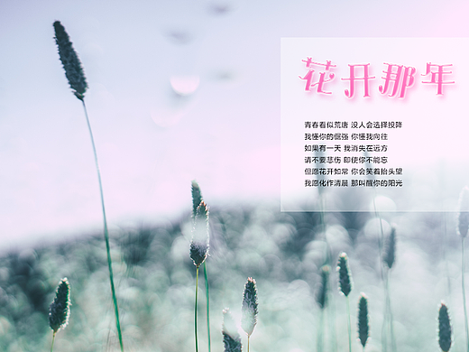 字体设计练习