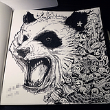 Panda刘的头像
