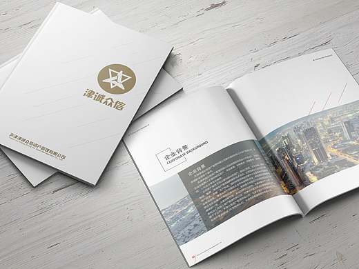 【企业 画册】