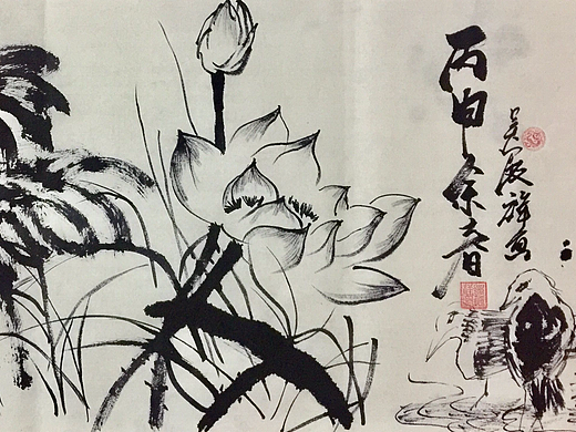 夏天 荷花