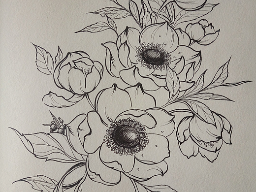 线描花朵
