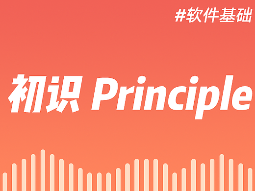 【教程】初识Principle篇