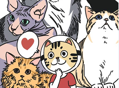 教你成为鉴猫专家