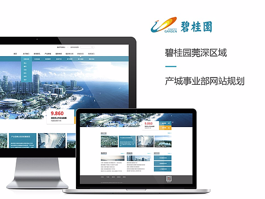 碧桂园莞深区域产城事业部网站规划