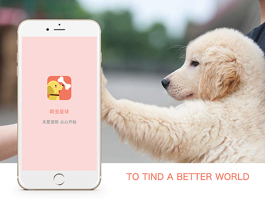 宠物类APP界面设计