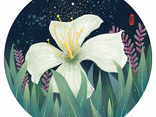 植物练习演变成心灵鸡汤