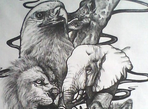 線描（個(gè)人主頁-ZMjMwODU1ODQ=） - 創(chuàng)作習(xí)作 - 站酷設(shè)計(jì)師豐收姜原創(chuàng)素材 - 站酷ZCOOL