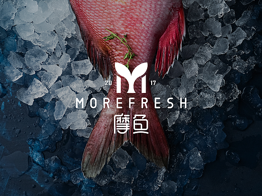 煎饼｜《摩鱼》LOGO提案