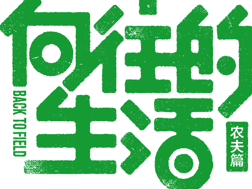 部分综艺真人秀节目logo设计方案-引象-
