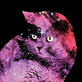 蒋猫久的头像