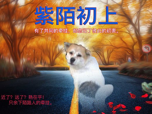 生活中的banner（個(gè)人主頁-ZMjIxNjkwMjA=） - 其他 - 站酷設(shè)計(jì)師流淌在指尖的沙原創(chuàng)素材 - 站酷ZCOOL