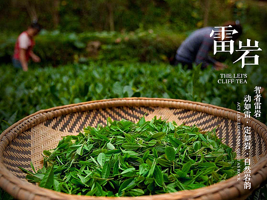 2014年2月做茶叶网站