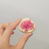 壮龙君素彩的头像