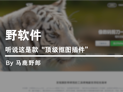 野软件│听说这是款“顶级抠图”软件