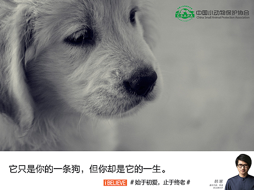 公益招贴，关爱动物（个人主页-ZMjIzOTAwNjg=） - 海报 - 站酷设计师陆离s原创素材 - 站酷ZCOOL