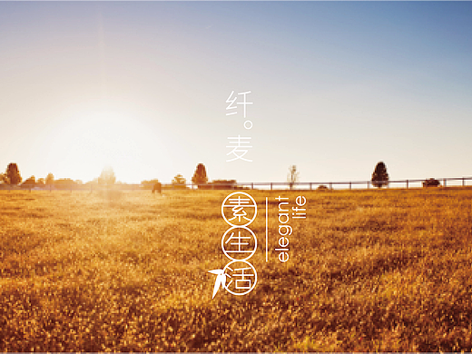 Dode原创首发|纤麦纸杯品牌形象包装策划设计