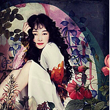 呀灰阿姨的头像