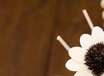 打折打的（個人主頁-ZMjIxNDM2MzY=） - 字體/字形 - 站酷設(shè)計師pf_156原創(chuàng)素材 - 站酷ZCOOL